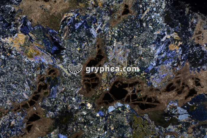 Métagabbro à Glaucophanite LPA x3,5 - gryphea.com